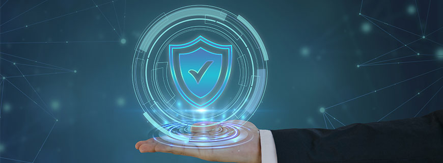 Cyber Law